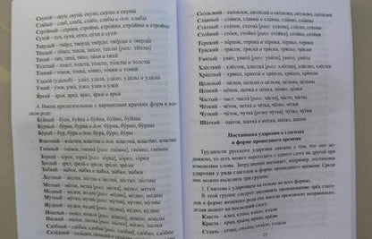 Фотография книги "Ситникова: Словарь-справочник по русскому языку. Для подготовки к ЕГЭ. Ударения. Паронимы. ФГОС"