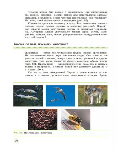 Фотография книги "Сивоглазов, Акуленко, Габрусева: Естествознание. 5 класс. Учебник. В 2-х частях. ФГОС"
