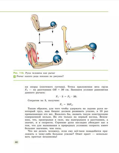 Фотография книги "Сивоглазов, Габрусева, Акуленко: Естествознание. 6 класс. Учебник. В двух частях. Часть 2"