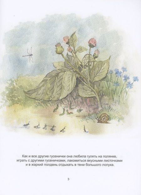 Фотография книги "Сказка о маленькой гусеничке"