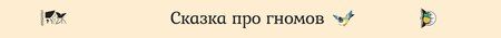 Фотография книги "Сказка про гномов"
