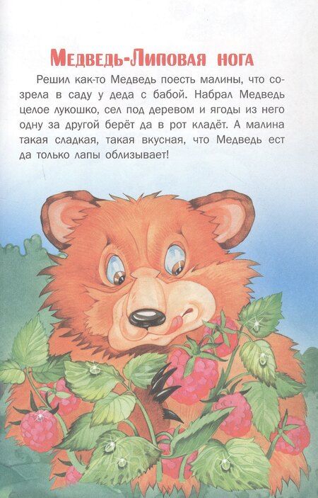 Фотография книги "Сказки нашего леса"