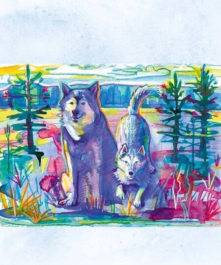 Фотография книги "Сказки от хаски"