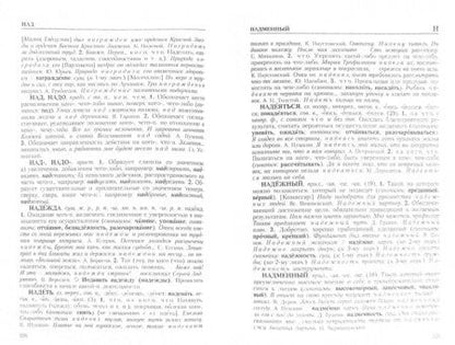 Фотография книги "Скорлуповская, Снетова: Школьный толковый словарь русского языка"