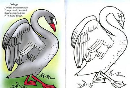 Фотография книги "Скребцова, Лопатина: Птичий двор"
