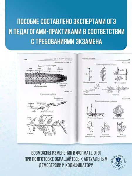 Фотография книги "Скворцов, Маталин, Банколе: Биология. Готовимся к ОГЭ за 30 дней"