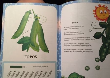 Фотография книги "Славина: Чудеса на огородной грядке. Занимательные занятия для детей 4-5 лет. ФГОС ДО"
