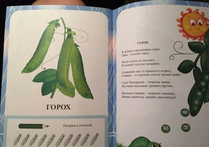 Фотография книги "Славина: Чудеса на огородной грядке. Занимательные занятия для детей 4-5 лет. ФГОС ДО"