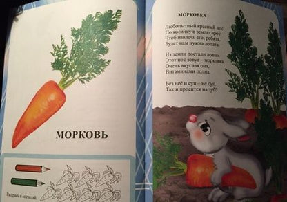 Фотография книги "Славина: Чудеса на огородной грядке. Занимательные занятия для детей 4-5 лет. ФГОС ДО"