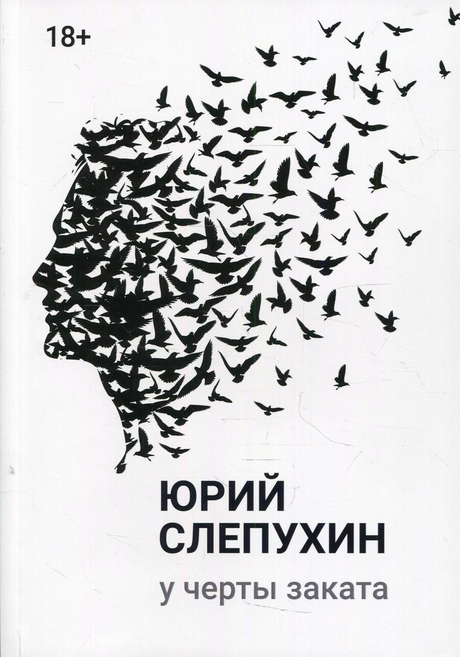 Обложка книги "Слепухин: У черты заката"