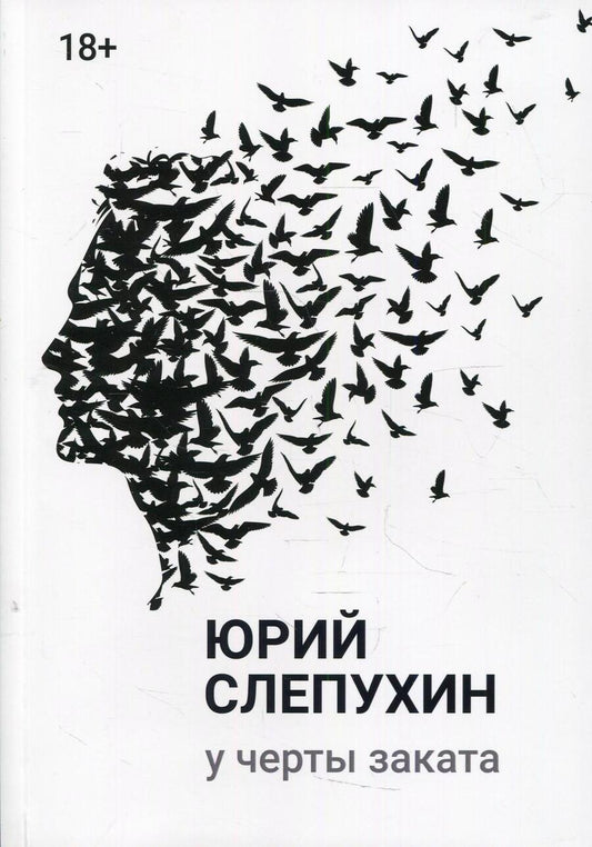 Обложка книги "Слепухин: У черты заката"