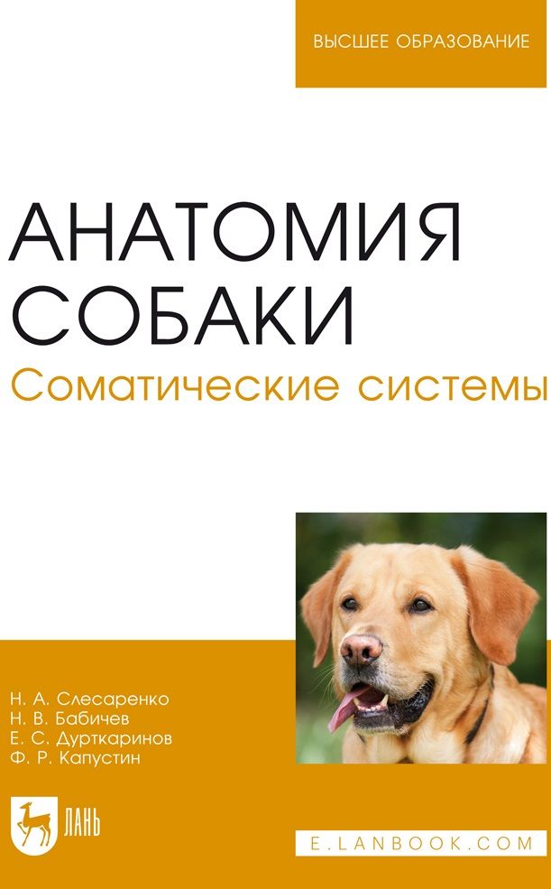 Обложка книги "Слесаренко, Бабичев, Дурткаринов: Анатомия собаки. Соматические системы. Учебник"
