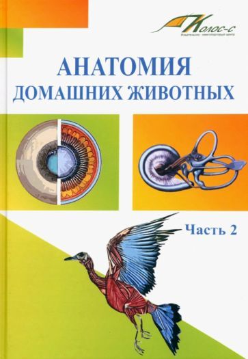 Обложка книги "Слесаренко, Баймишев, Хрусталева: Анатомия домашних животных. Учебник. Часть 2"