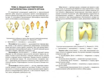 Фотография книги "Слесаренко, Красников, Иванцов: Ветеринарная стоматология. Учебно-методическое пособие для вузов"