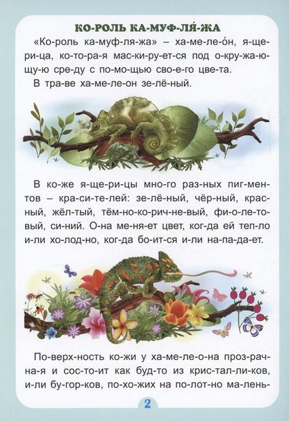 Фотография книги "Слогочиталка. Кто, что и где самые-самые: интересные рассказы"
