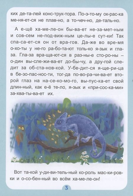 Фотография книги "Слогочиталка. Кто, что и где самые-самые: интересные рассказы"
