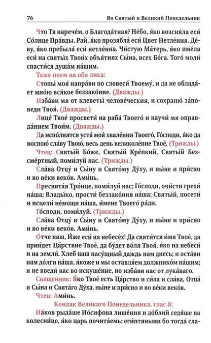 Фотография книги "Службы Первой и Страстной Седмицы Великого Поста. В 4-х книгах"