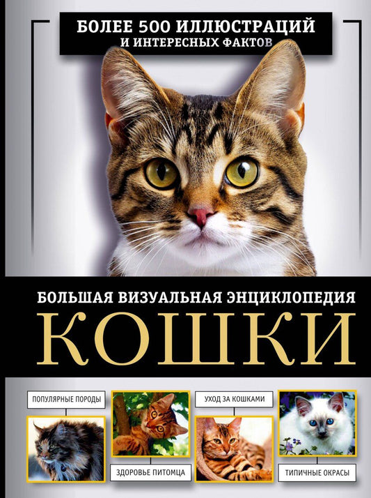 Обложка книги "Смирнов, Спектор: Кошки. Большая визуальная энциклопедия"