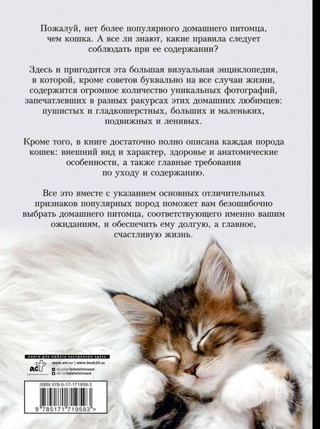 Фотография книги "Смирнов, Спектор: Кошки. Большая визуальная энциклопедия"