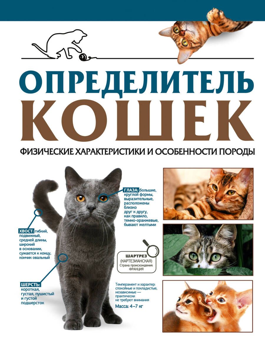 Обложка книги "Смирнов, Спектор: Определитель кошек. Физические характеристики и особенности породы"