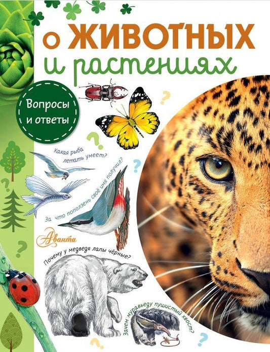 Обложка книги "Смирнов, Тамбиев, Касаткина: О животных и растениях"