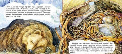 Фотография книги "Смирнова: Кто как спит"