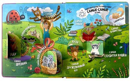 Фотография книги ""Смотри, кошка!". Книга с окошками"