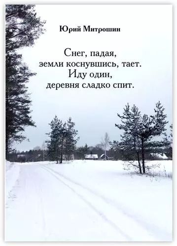 Обложка книги "Снег, падая, земли коснувшись, тает. Иду один, деревня сладко спит"