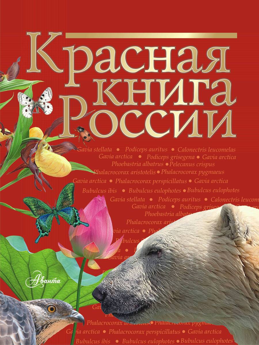 Обложка книги "Снегирева, Дунаева, Новичонок: Красная книга России"