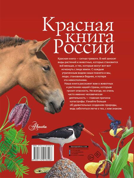 Фотография книги "Снегирева, Дунаева, Новичонок: Красная книга России"