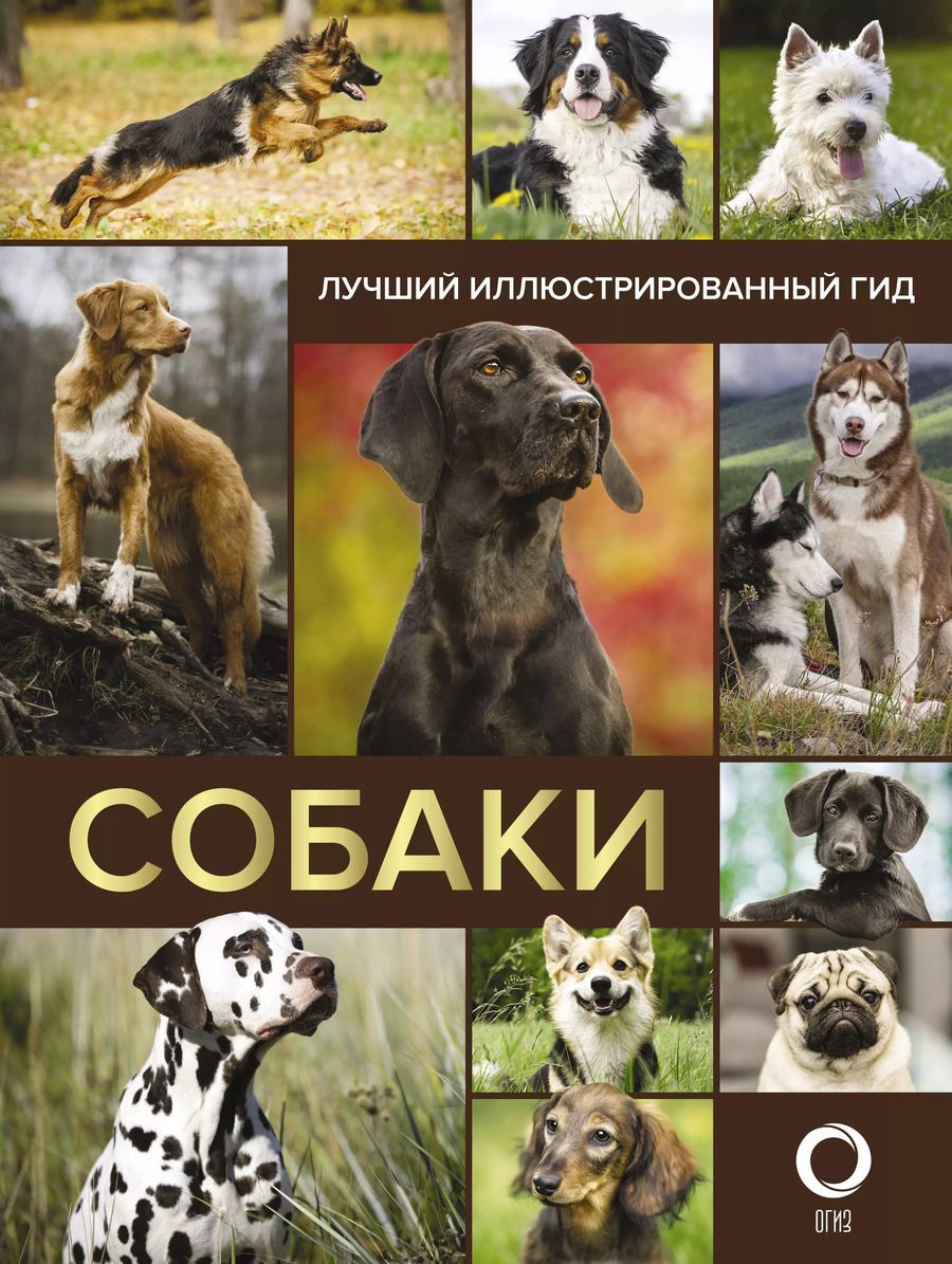 Обложка книги "Собаки. Лучший иллюстрированный гид"