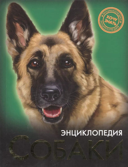 Обложка книги "Собаки"