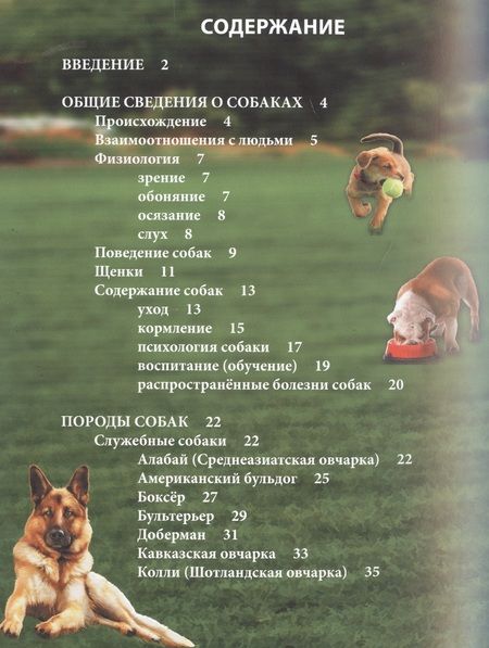 Фотография книги "Собаки"