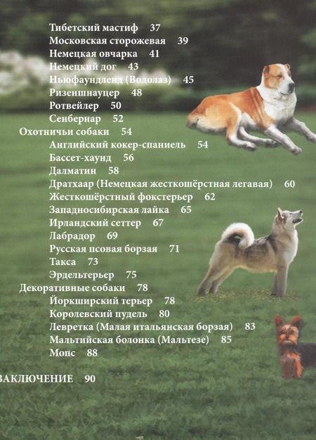 Фотография книги "Собаки"