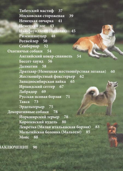 Фотография книги "Собаки"