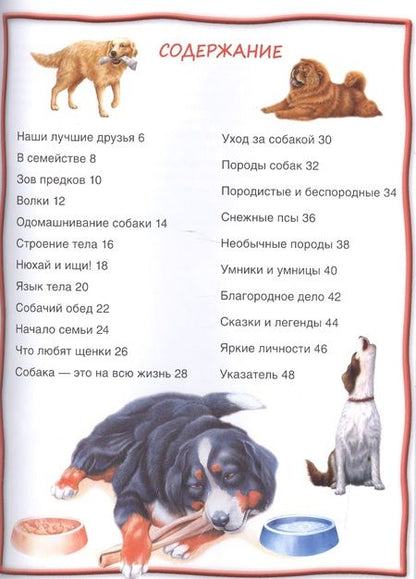 Фотография книги "Собаки и щенки"