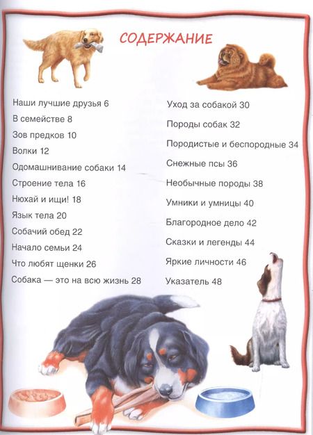 Фотография книги "Собаки и щенки"
