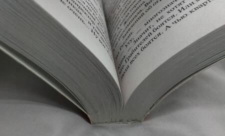 Фотография книги "Соболева: Пляски простаков"