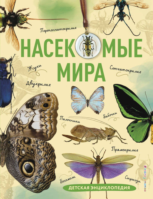 Обложка книги "Сочивко: Насекомые мира. Детская энциклопедия"