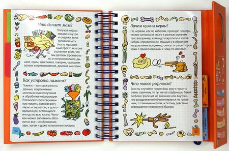 Фотография книги "Софи де: Как все устроено?"