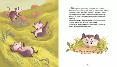 Фотография книги "Софи де: Малыш Пик и дружная семья"