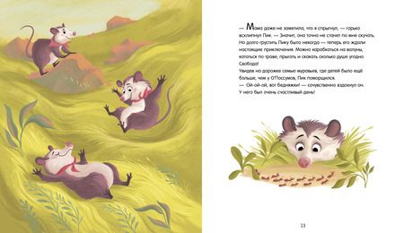 Фотография книги "Софи де: Малыш Пик и дружная семья"