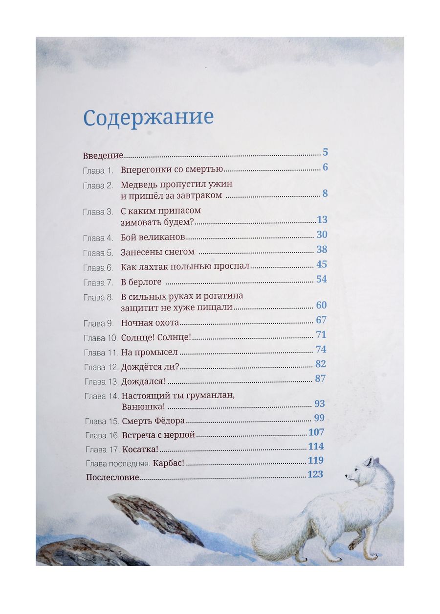 Обложка книги "Софья Радзиевская: Остров Мужества"