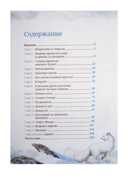 Обложка книги "Софья Радзиевская: Остров Мужества"