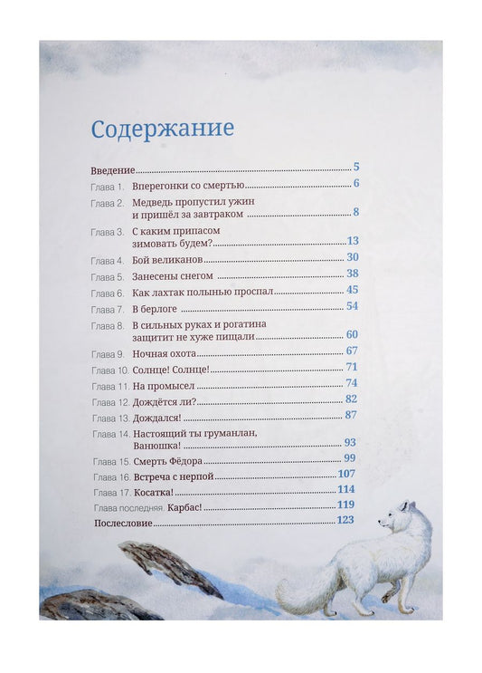 Обложка книги "Софья Радзиевская: Остров Мужества"