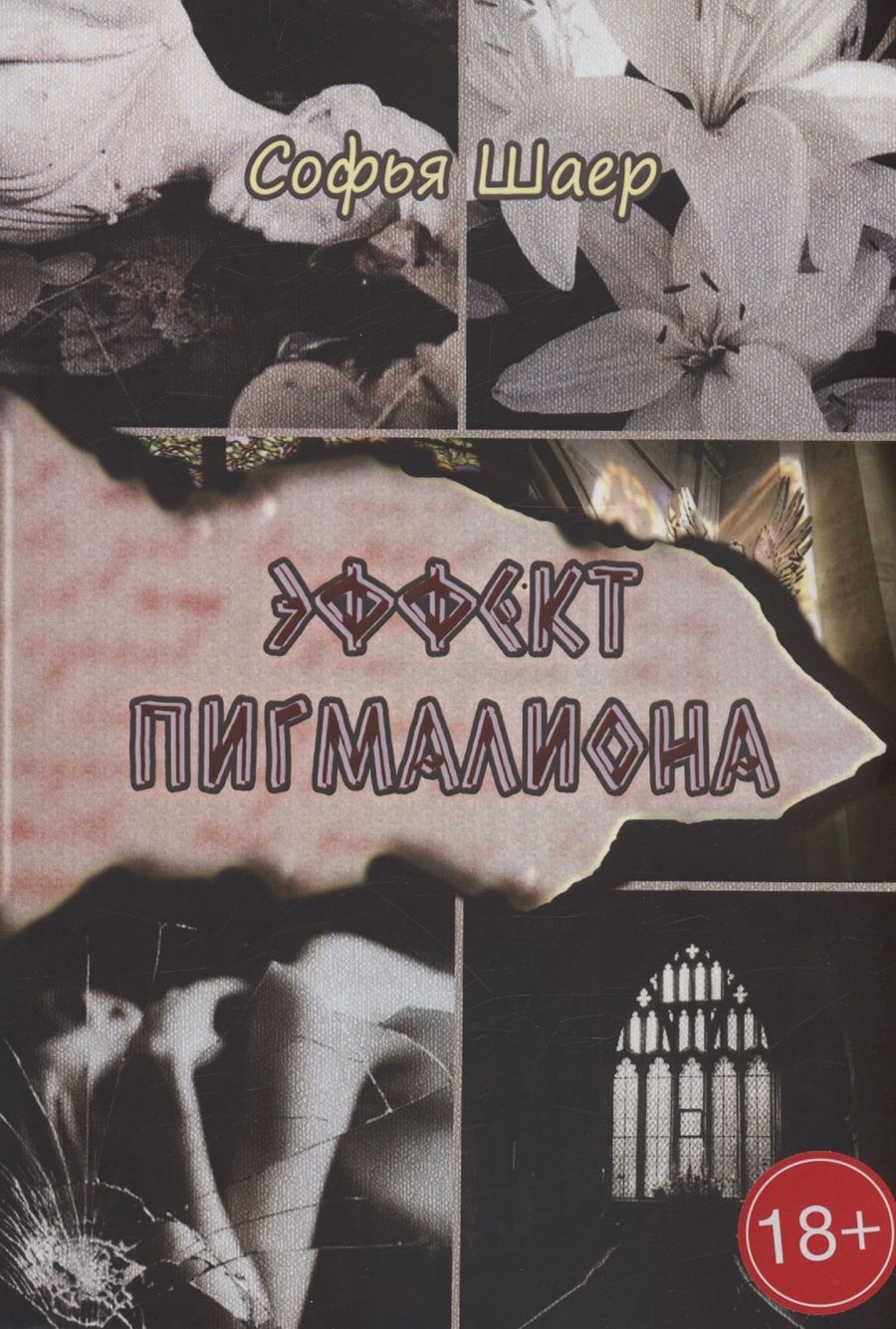 Обложка книги "Софья Шаер: Эффект Пигмалиона"