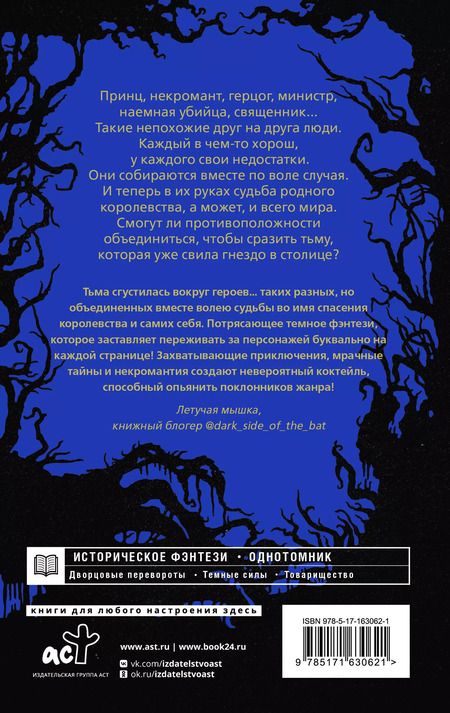 Фотография книги "Софья Соломонова: Сумерки Баригора"