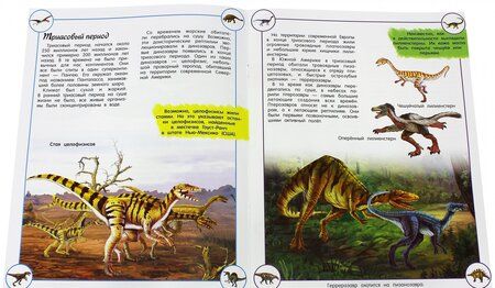 Фотография книги "Софья Стефанович: Наша планета. Динозавры"