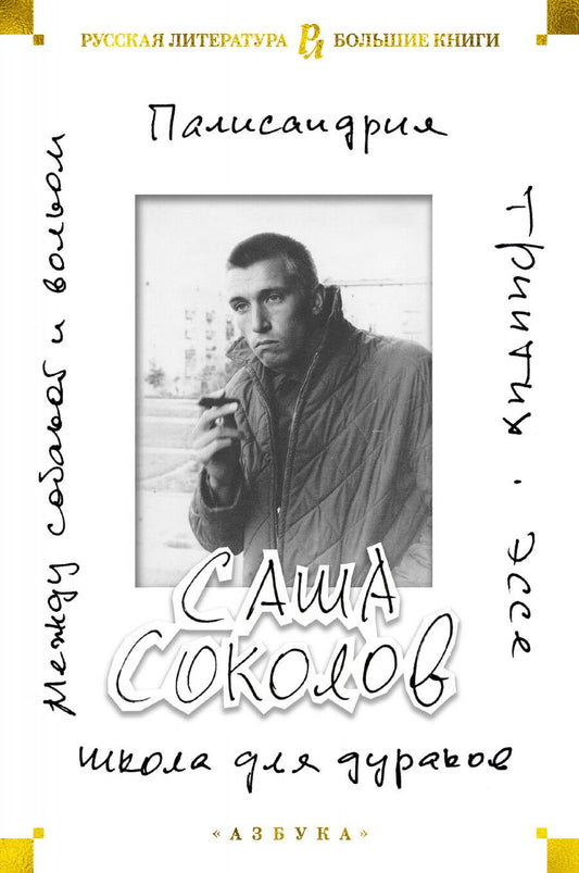 Обложка книги "Соколов: Школа для дураков. Между собакой и волком. Палисандрия. Триптих. Эссе"