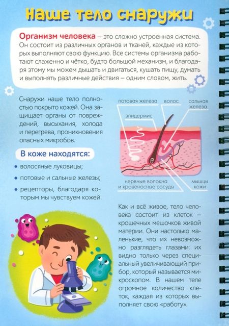 Фотография книги "Соколова: Умная книжка с фонариком Моё тело"